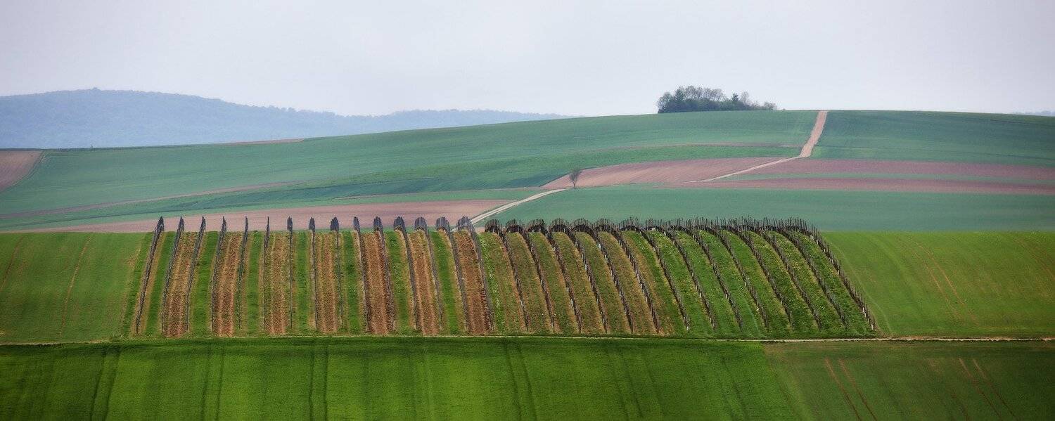 Австрия, Весна, Европа, Май, Вейзе Максим