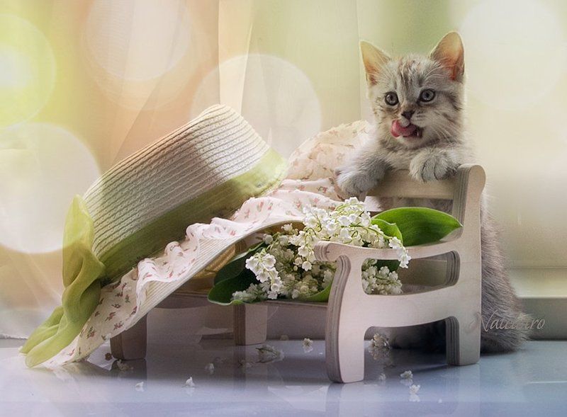 Летнее... фото превью