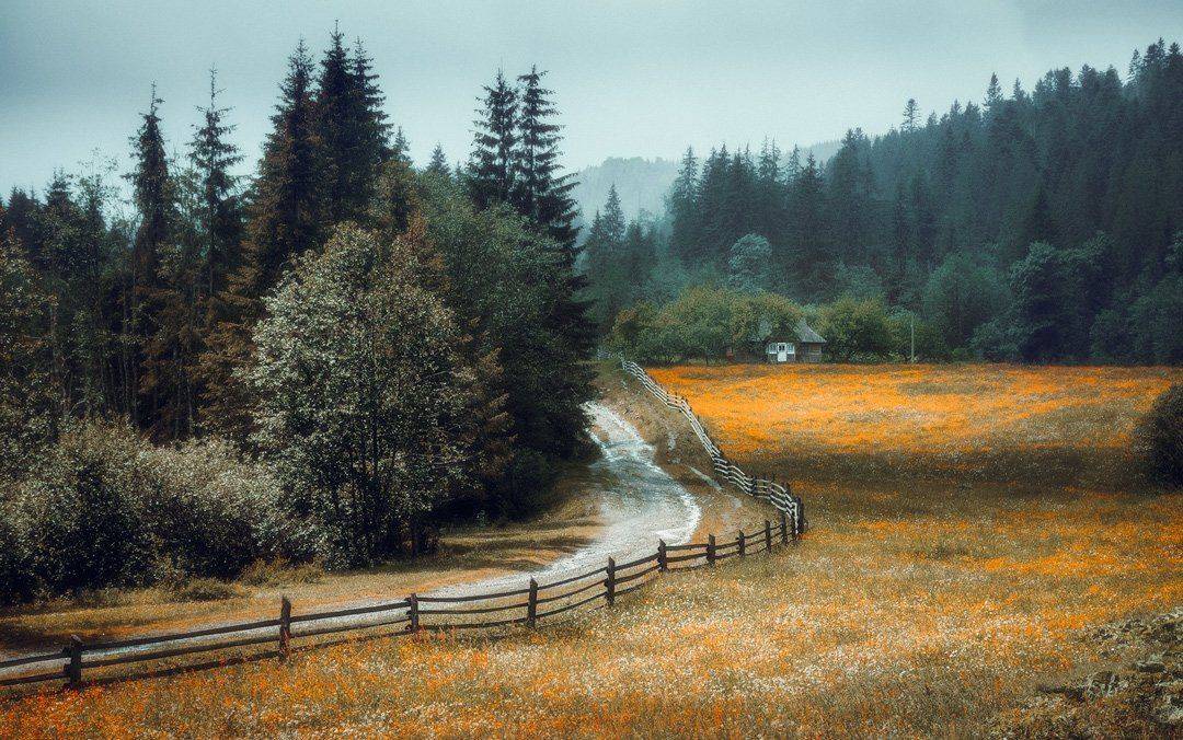 , Ярослав Тюрменко (Jaremi)