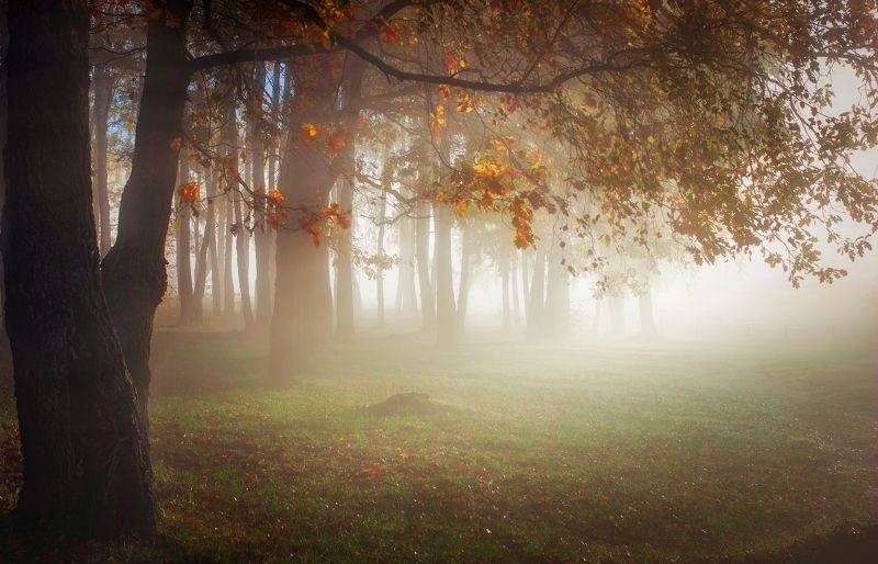 ******** фото превью