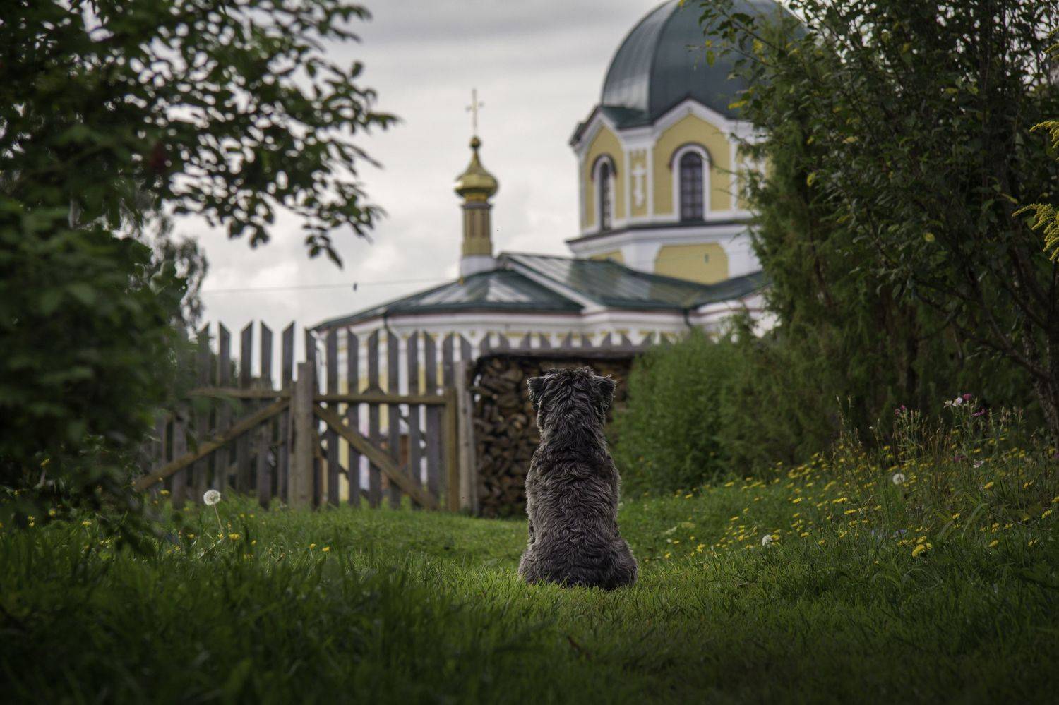 , Родион Рагозин