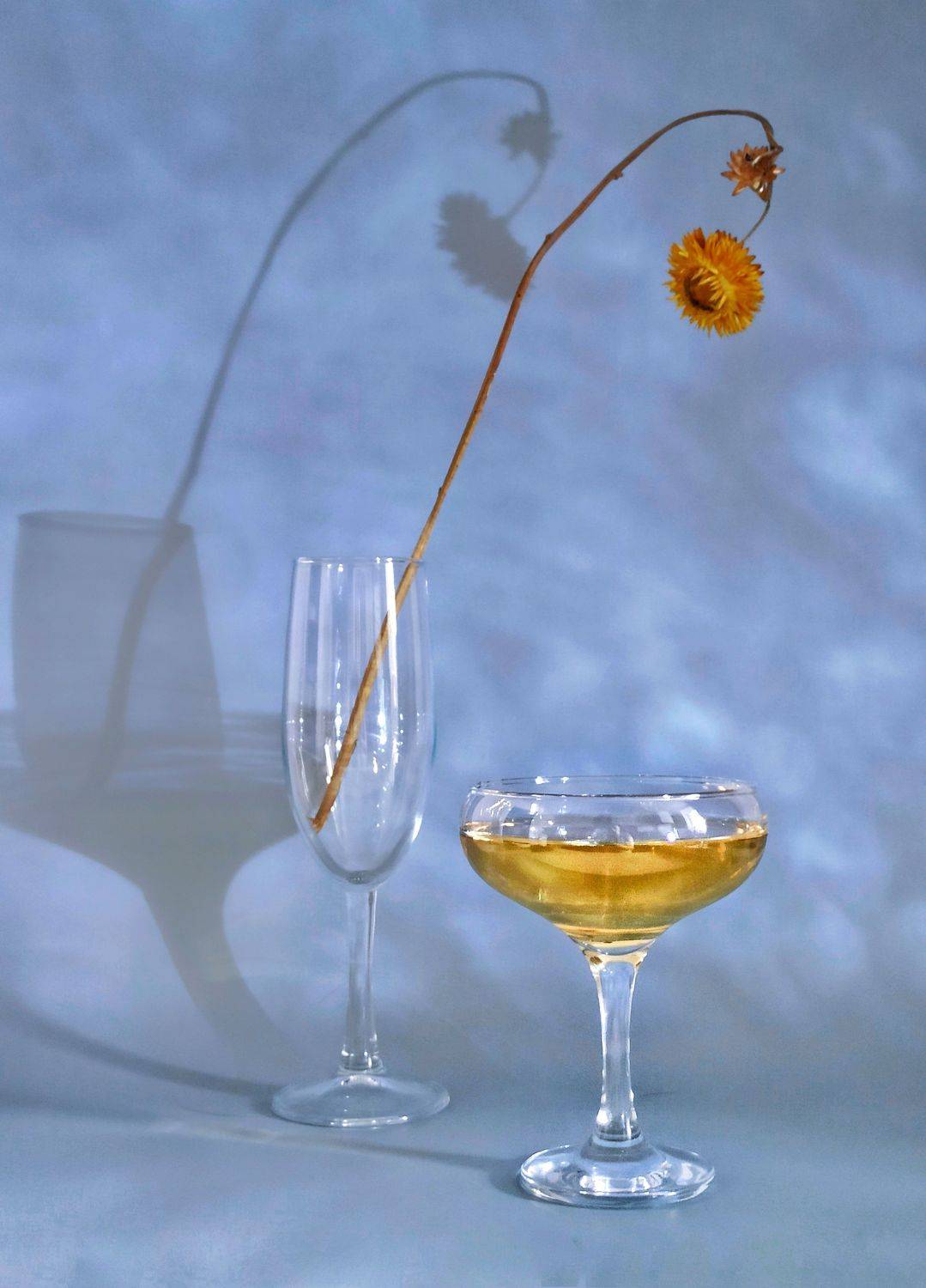 , Дина Полухина