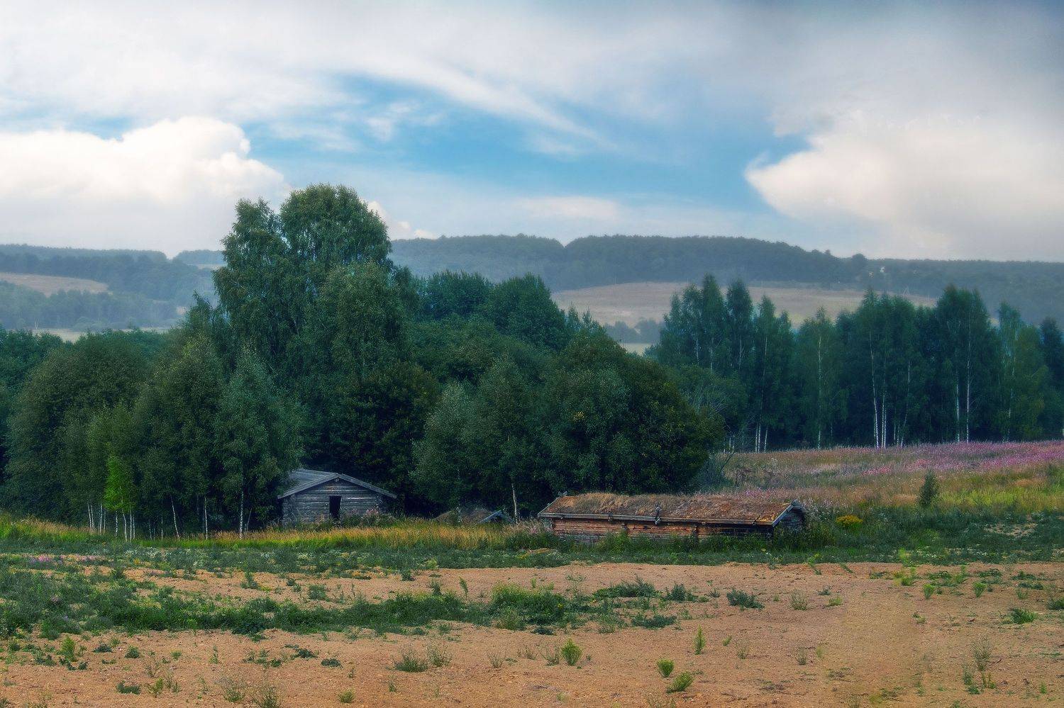 , Кунин Илья