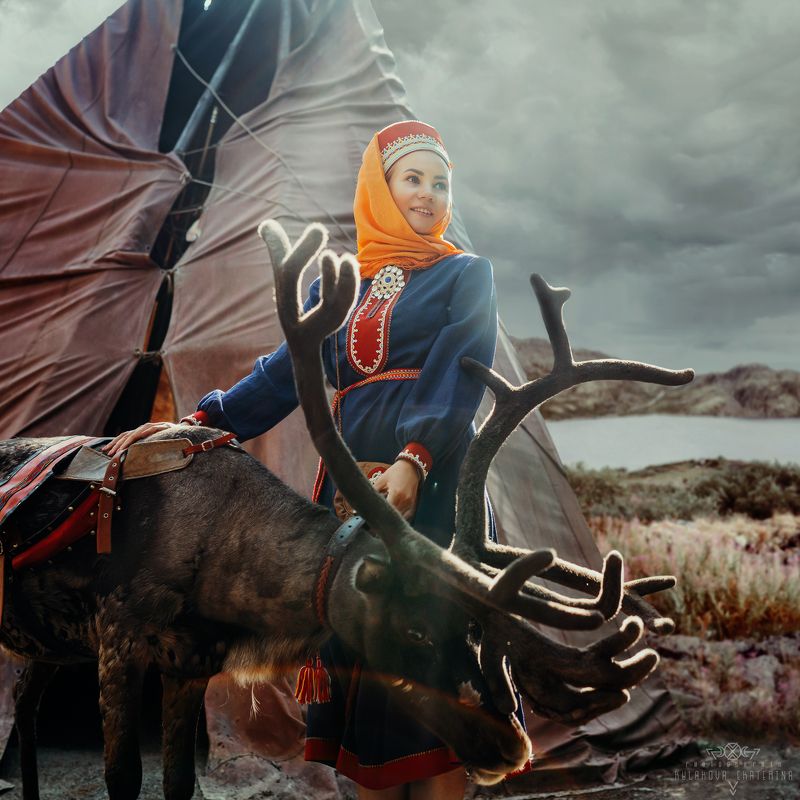 олень, традиции, культура, народы, саамы, север, кольский, тундра, юрта, ethnic, traditional, national, deer Народ Саамов фото превью