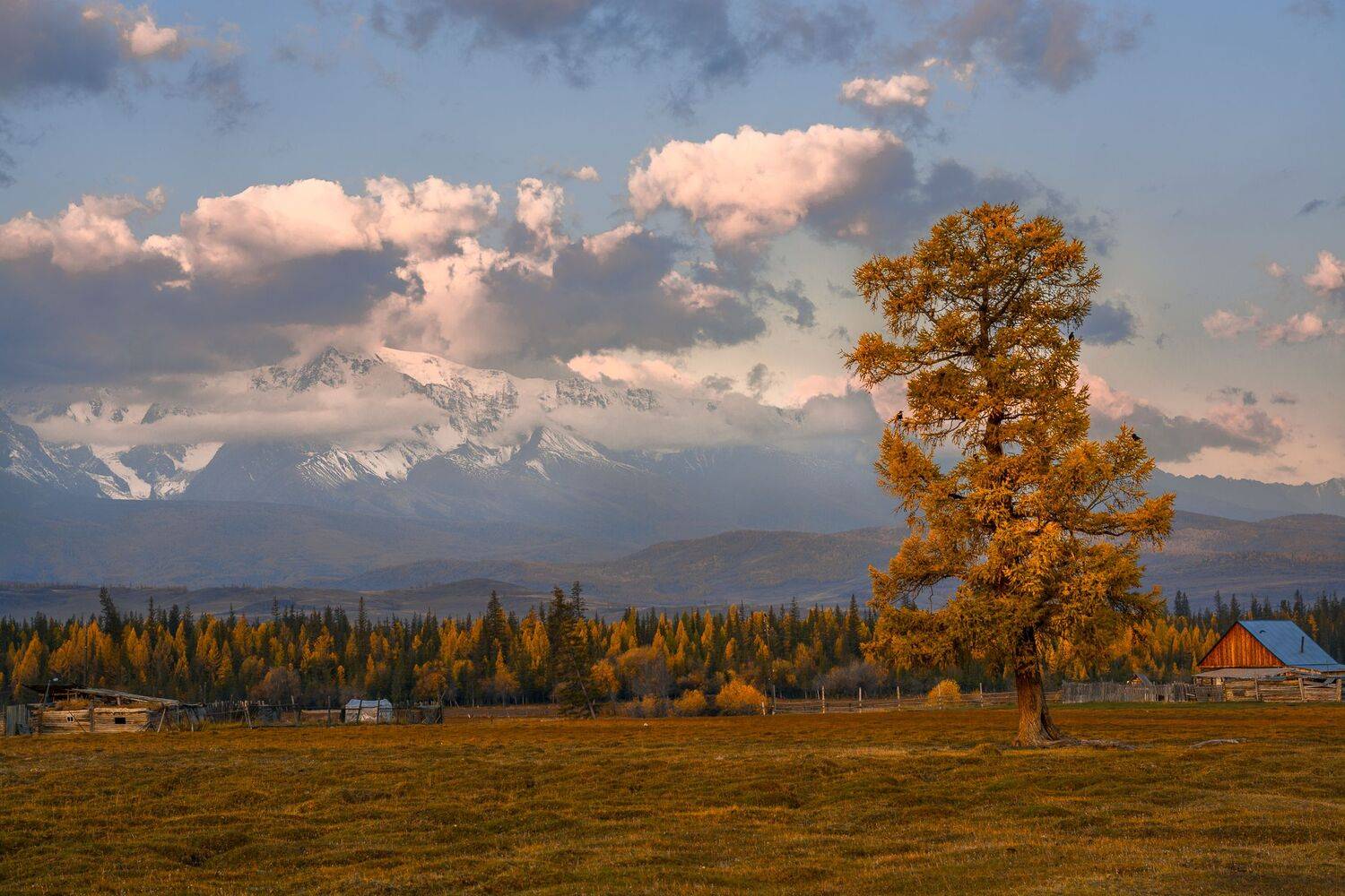 россия, горный алтай,курай, утро,заря,осень, Андрей Поляков