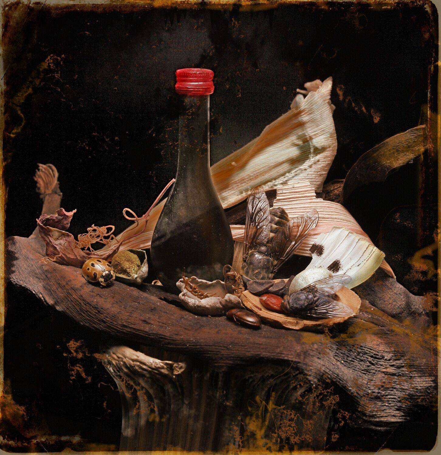 , Хромушин Олег