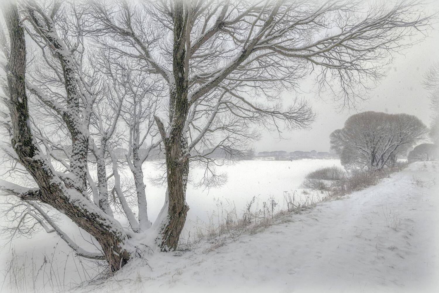 зима, снег, Сергей Аникин