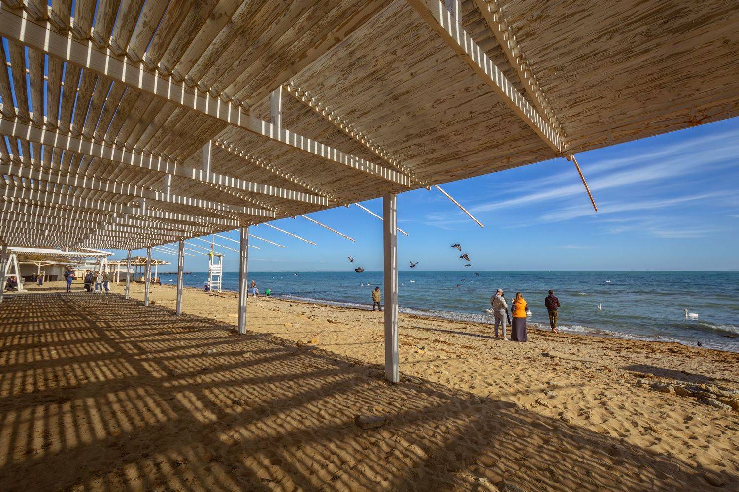 , Владимир Гамаюнов