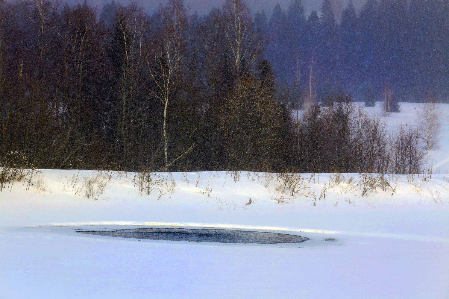 зима оттепель , Павел Мартюшев