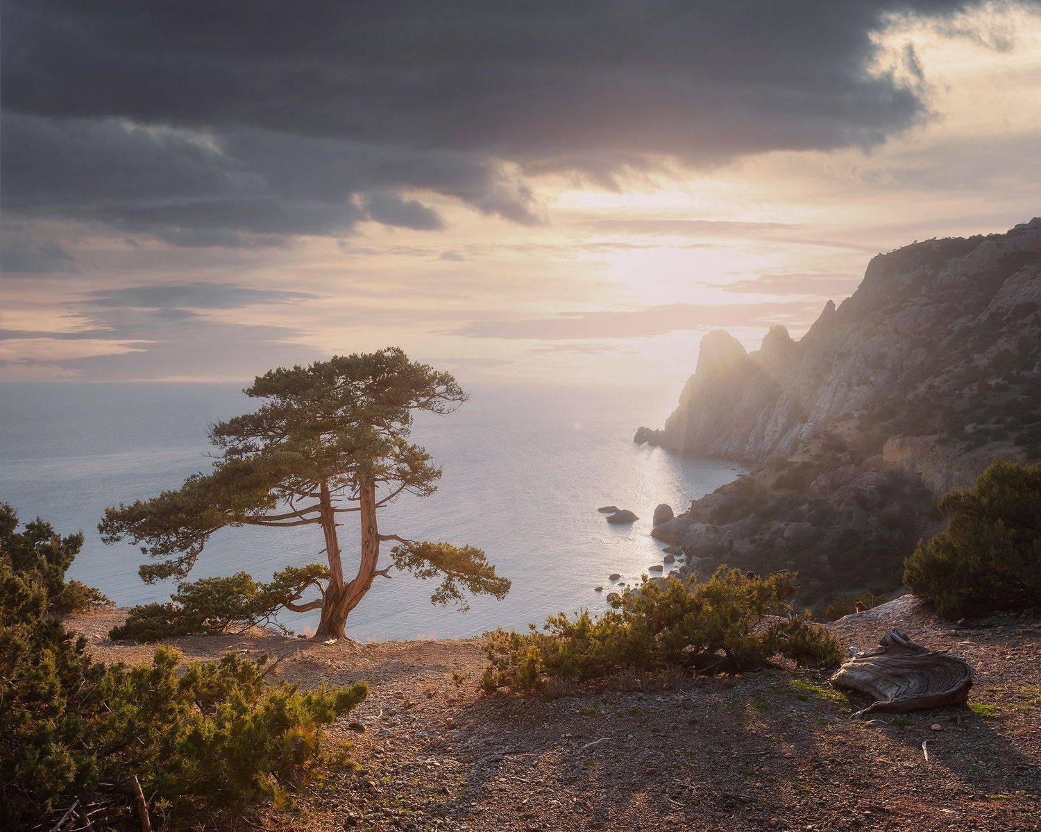 , Костенко Александр