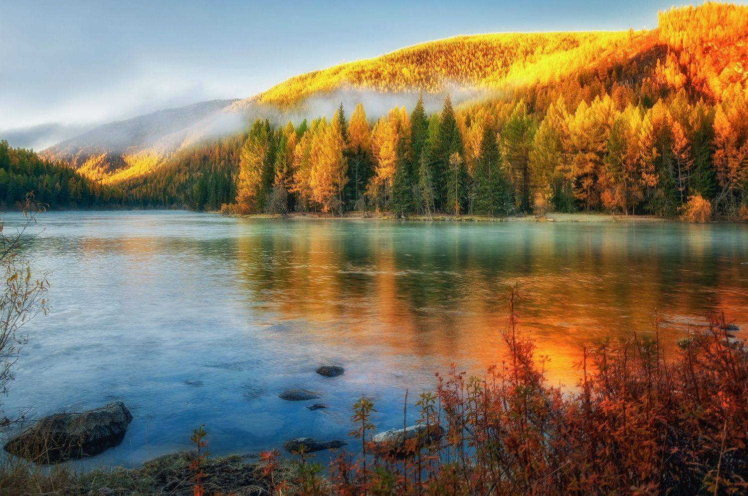 горный алтай,осень,утро,река аргут, Лора Павлова