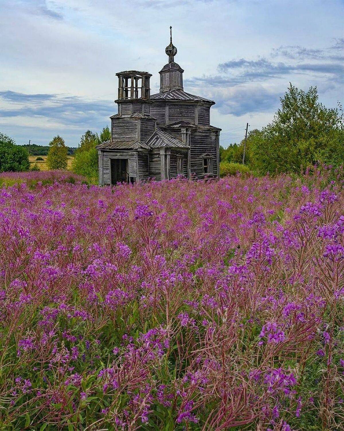 , Петр Косых