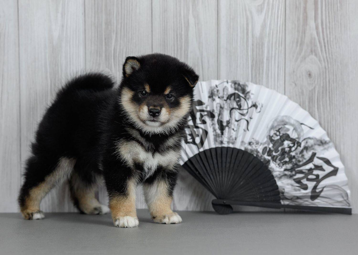 , Коптилина Галина