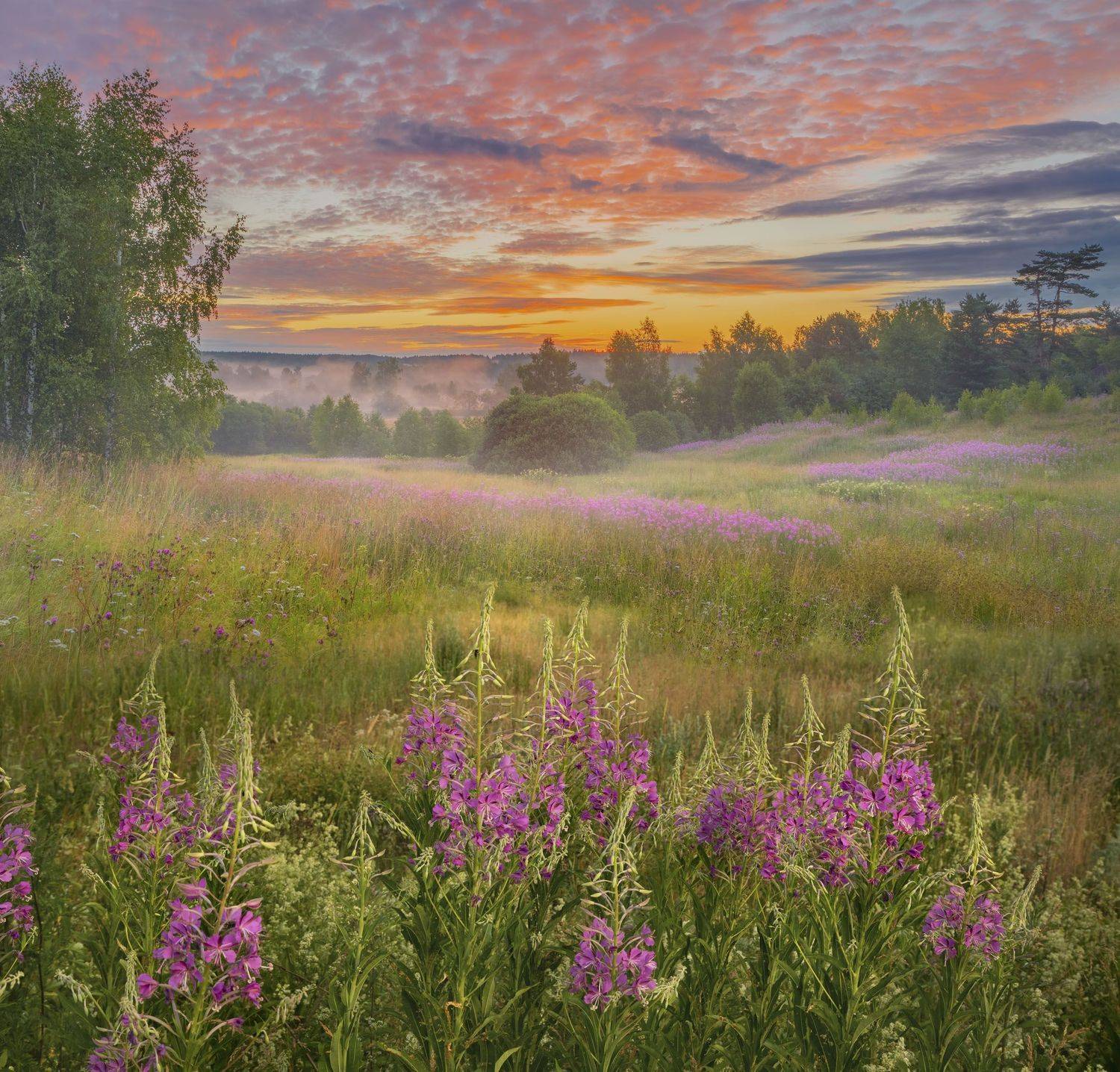 Фототуры с Владимиром Рябковым, #topnature #russpasibo #magic_shots #lovelyRussia #sunset_vision #exclusive_sky  #exclusive_shots #loves_russia2 #photoarena_nature #nature_sultans #nature_perfection #rsa_sky #rsa_sunset #photorussia #rsa_naturepics #sunse, Владимир Рябков