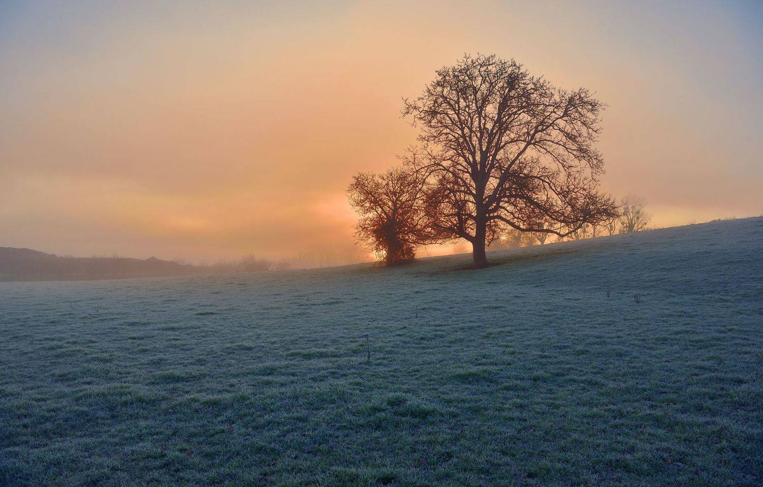 , Руслан Авдевич
