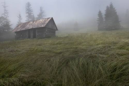 Hut in the fog