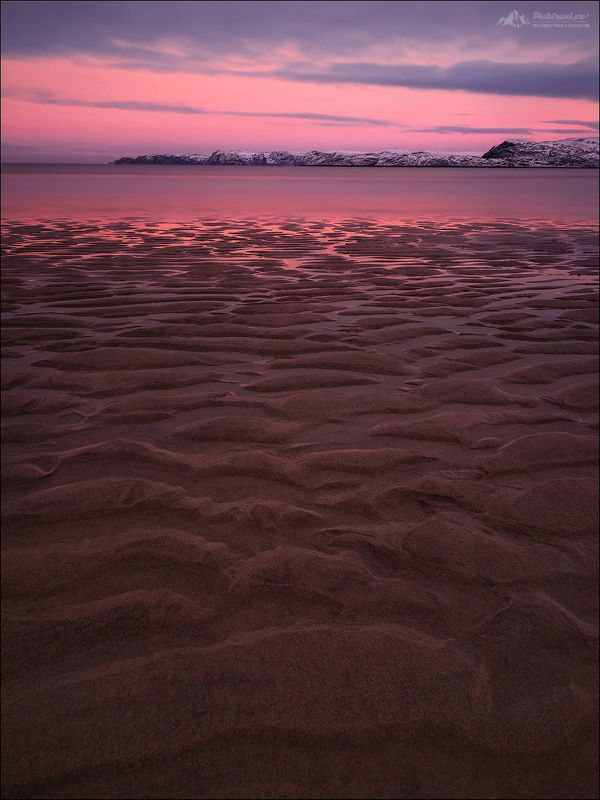 На пляжах Баренцева моря фото превью