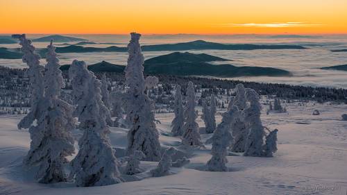 В ожидании рассвета