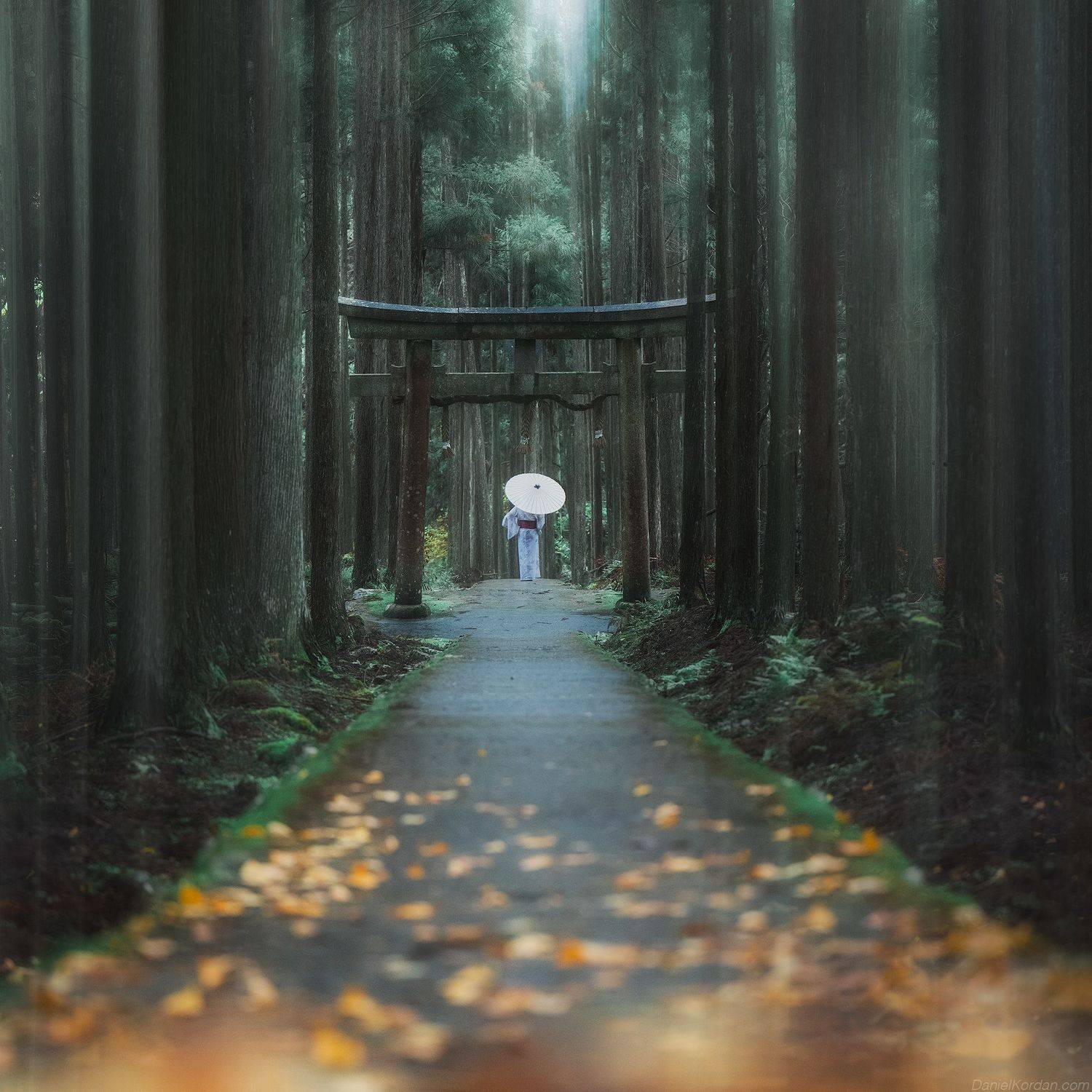 , Даниил Коржонов