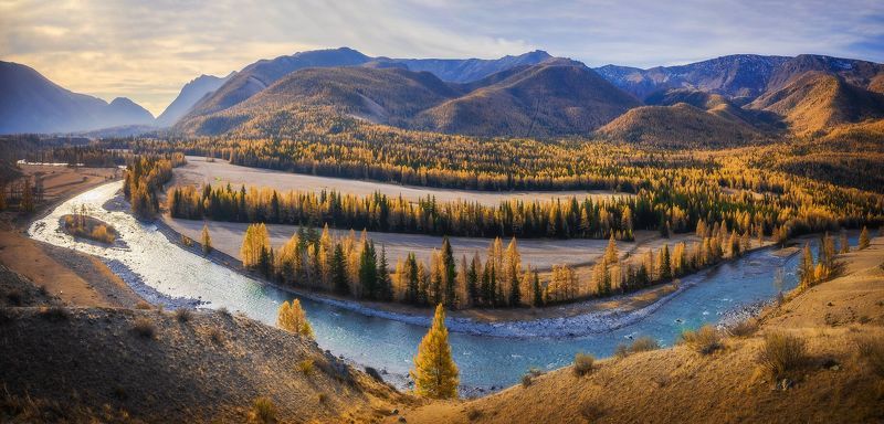 Осенняя улыбка Чуи фото превью