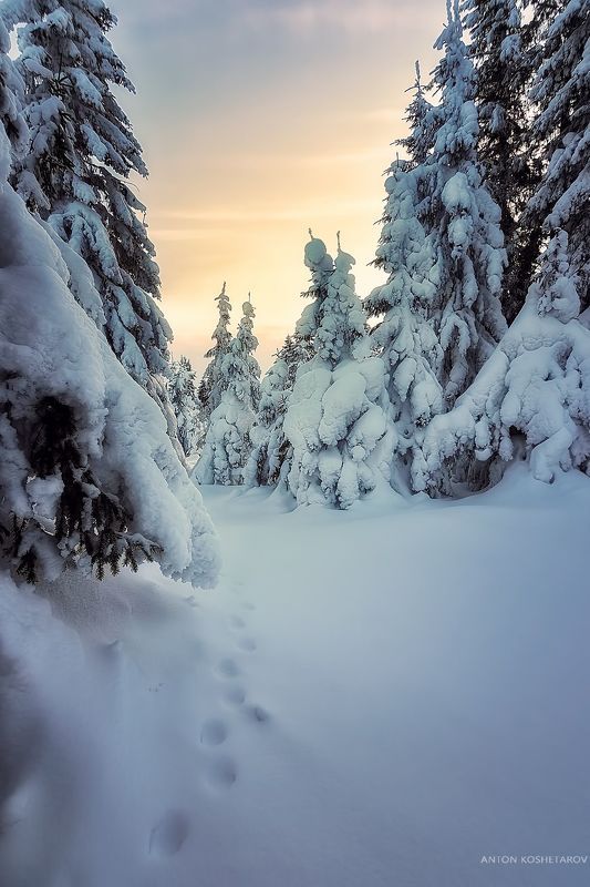 Зимними дорогами фото превью