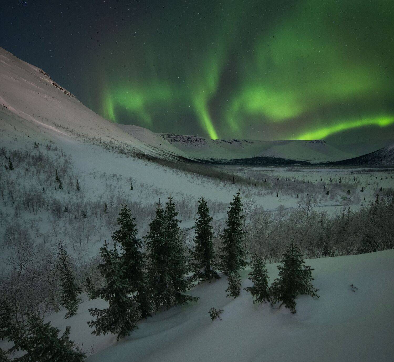 , Виталий Истомин