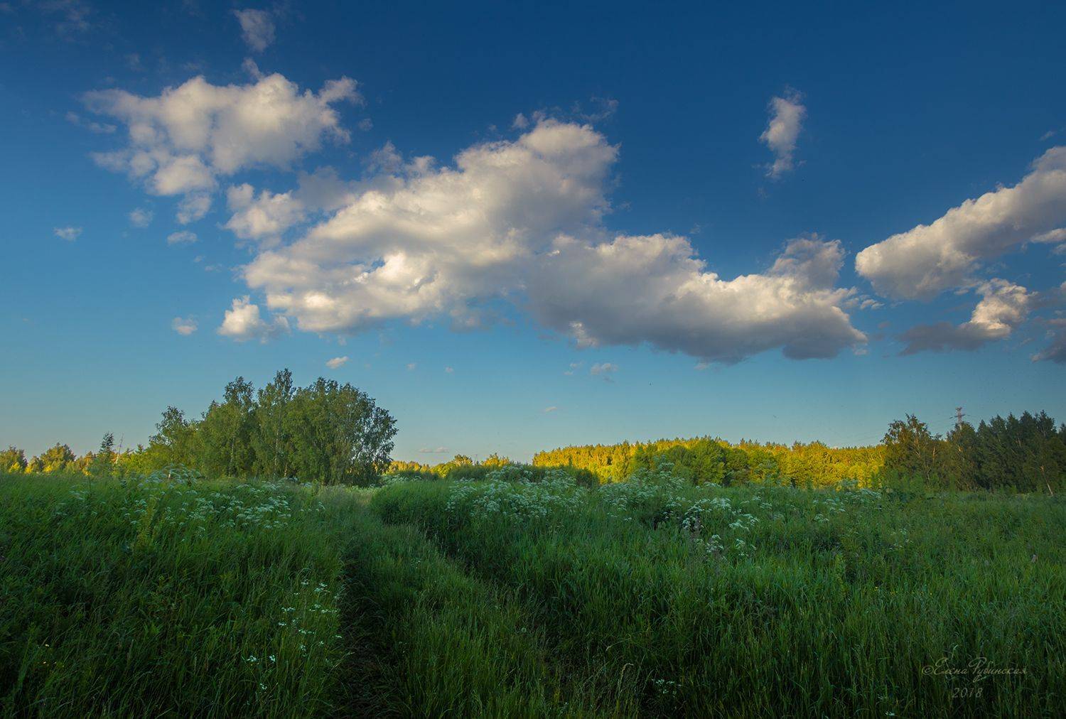 , Елена Рубинская