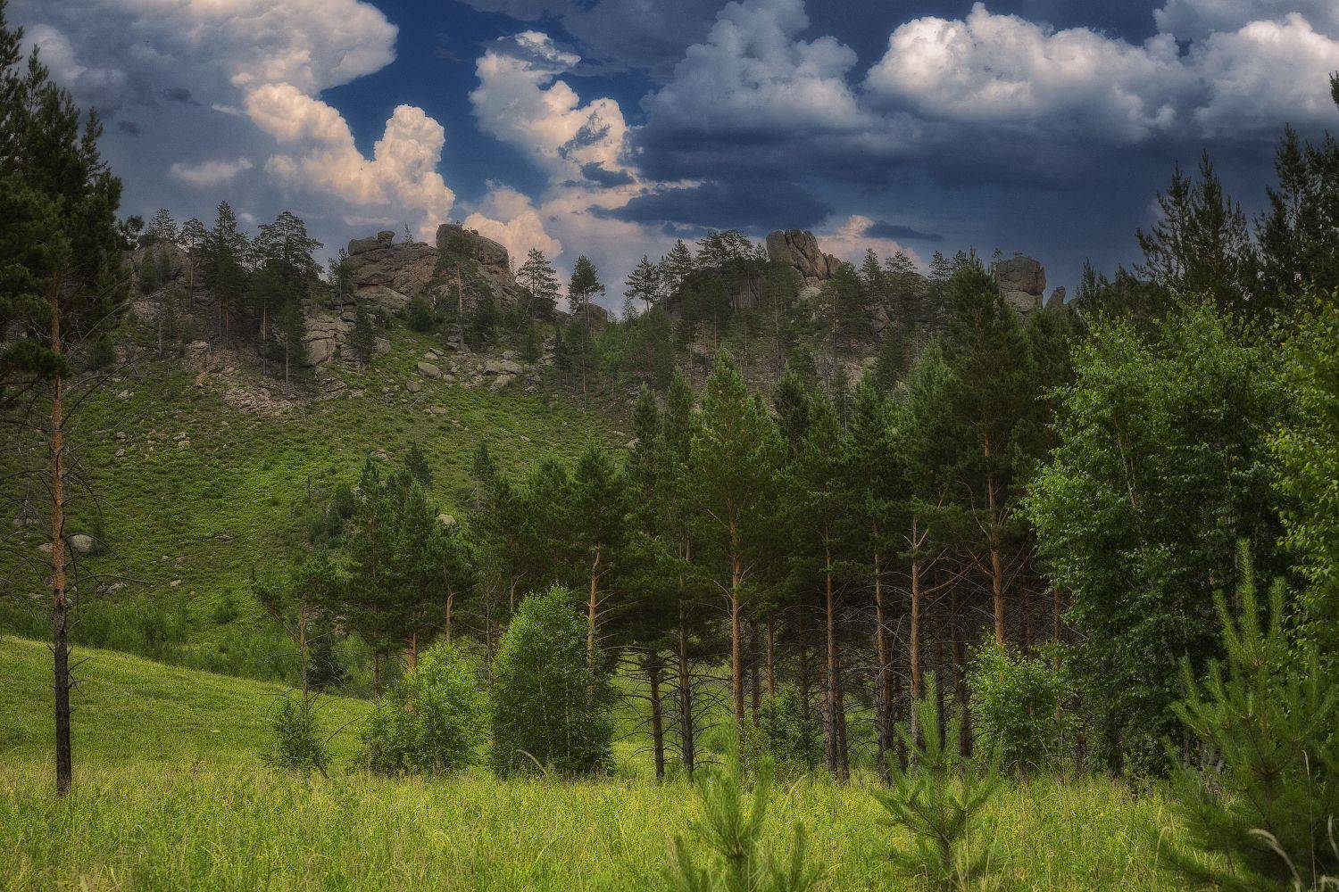 , Владимир Климов