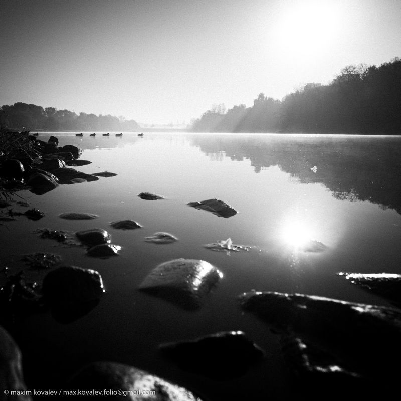 europe, moscou, moscow, russia, европа, люблинский нижний пруд, москва, россия, дымка, туман, утка, камень, stone, haze, fog, duck Перспективное.. / Perspective.. фото превью