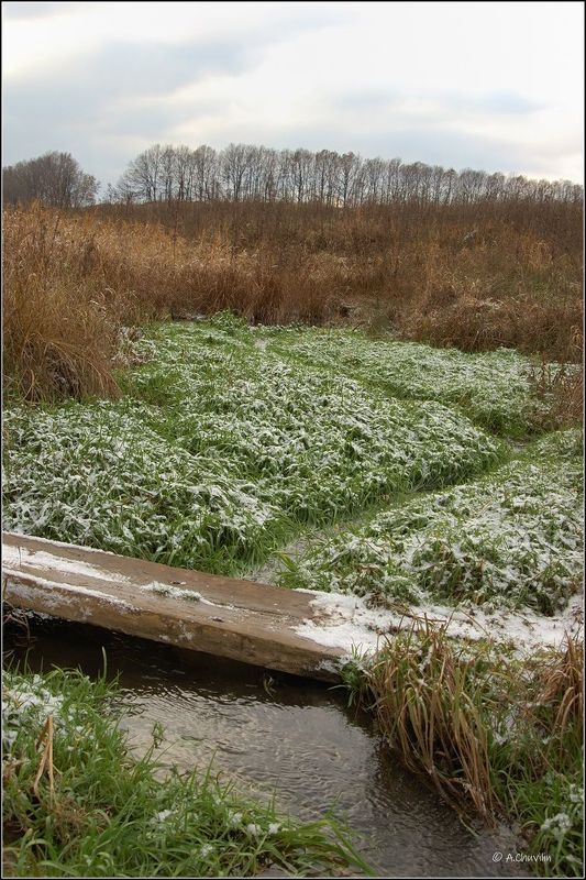 мостик,ноябрь,ручей,первый,снег Ноябрьский мостик фото превью