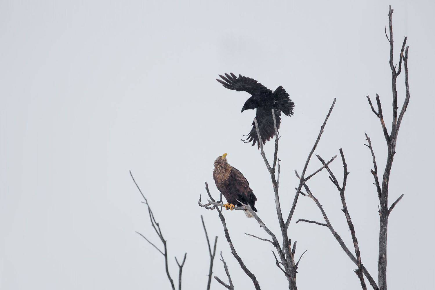 , Vyacheslav Lozhkin