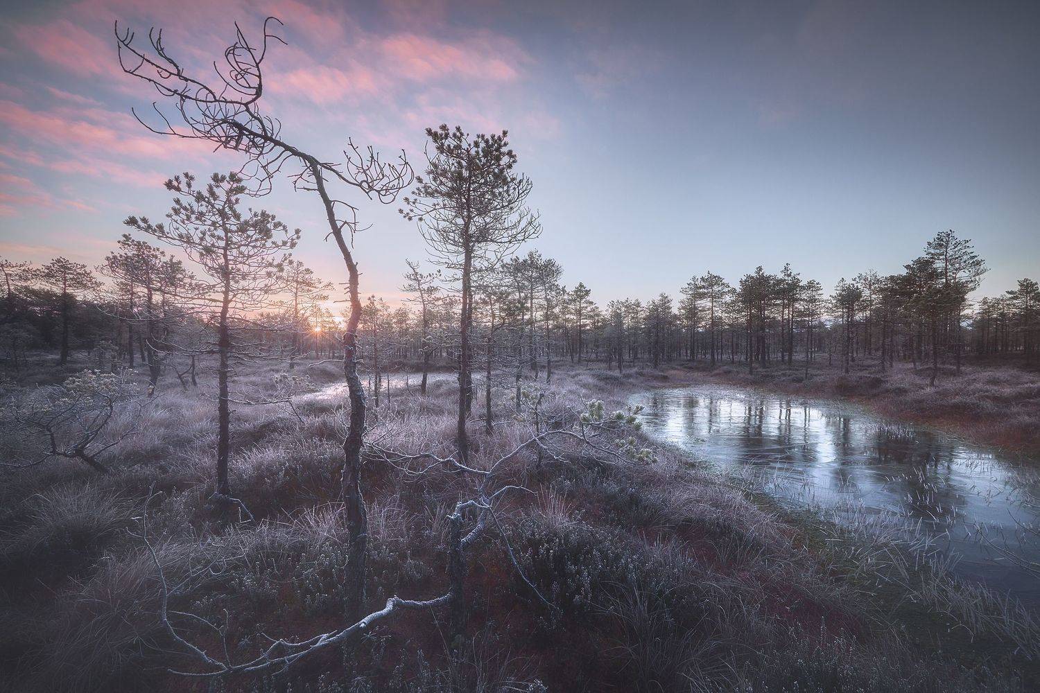 , Кононов Антон