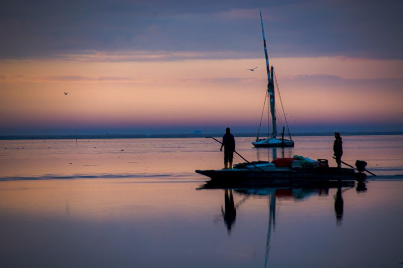Brelus фото превью