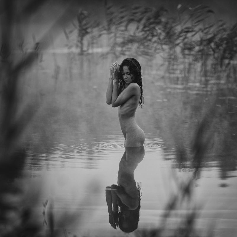 *** фото превью