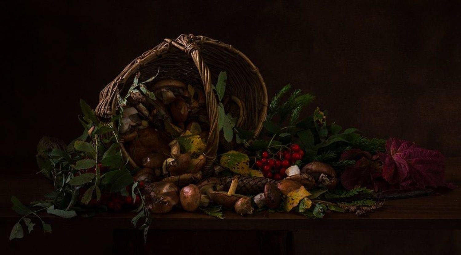 , Хвойнова Елена