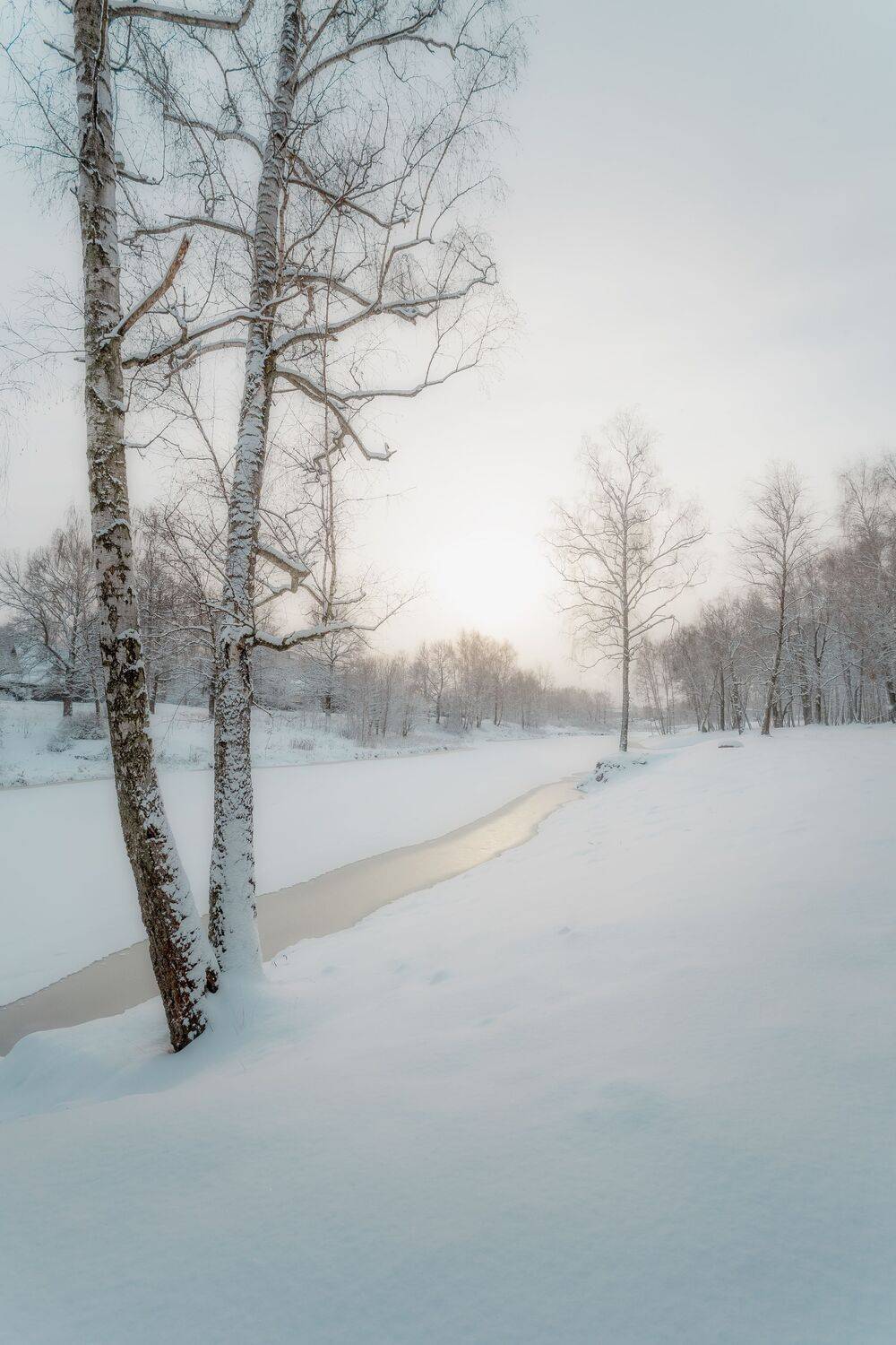 природа, зима, зимний пейзаж, пейзаж, снег, Мартыненко Дмитрий