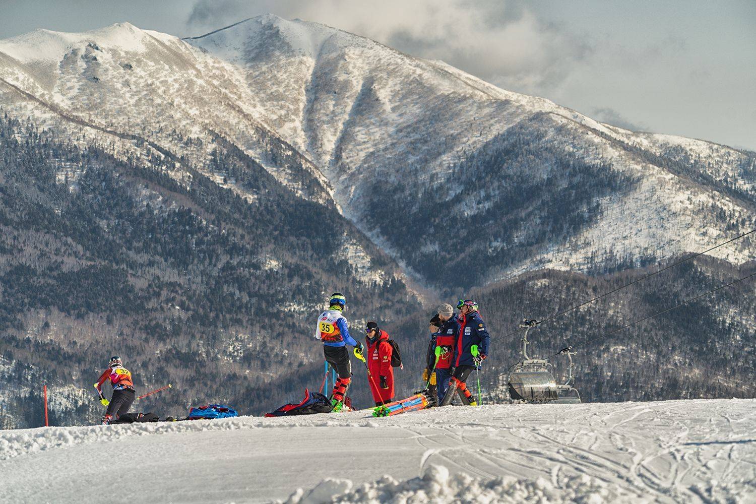 , Лариса Николаевна Дука