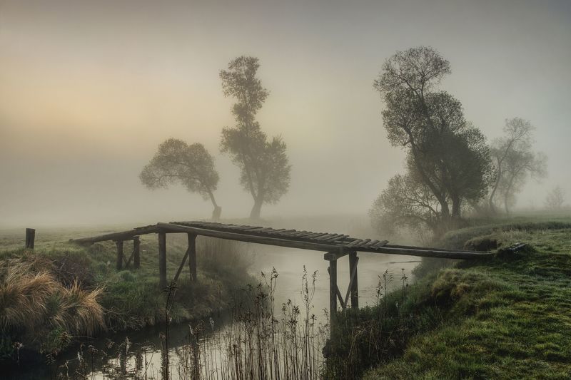 By the river