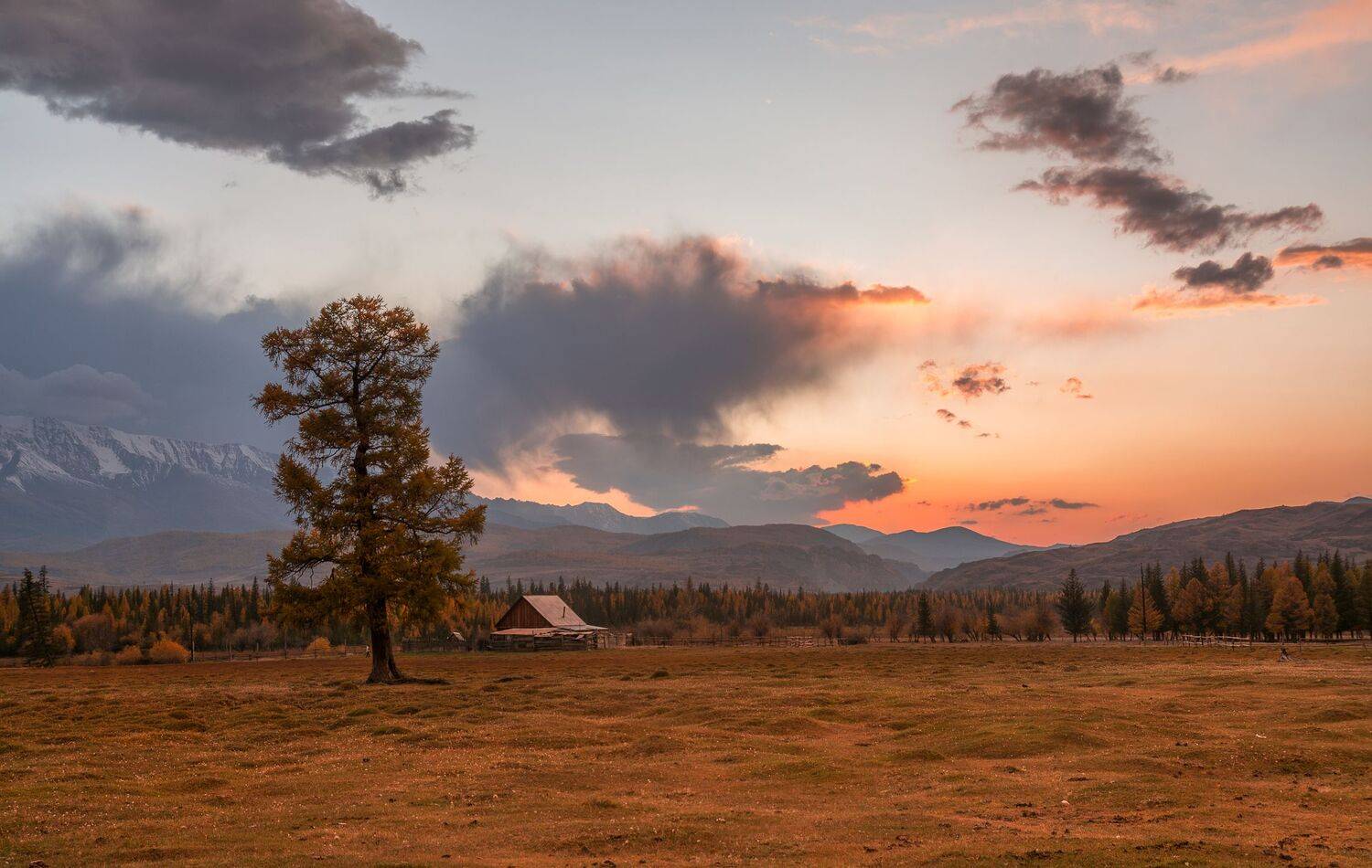 россия, горный алтай,курай, вечерняя заря,осень, Андрей Поляков