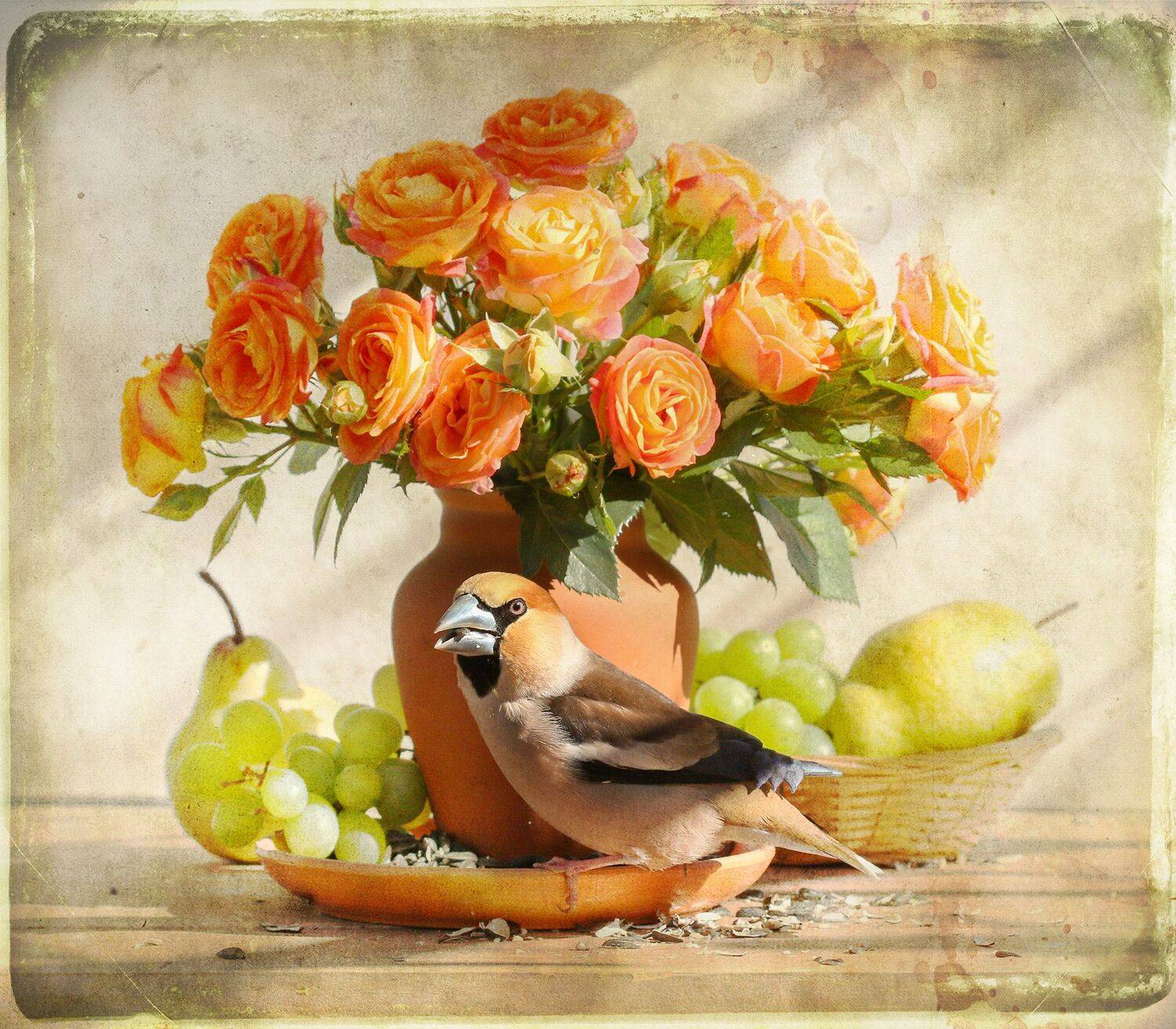 дубонос, Хромушин Олег