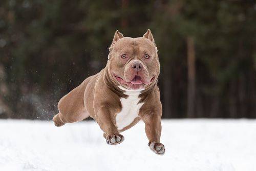 Полёт Юкоса