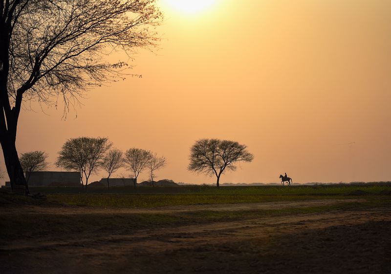 #travel #horse #rider #sunset #colors A Long journey фото превью