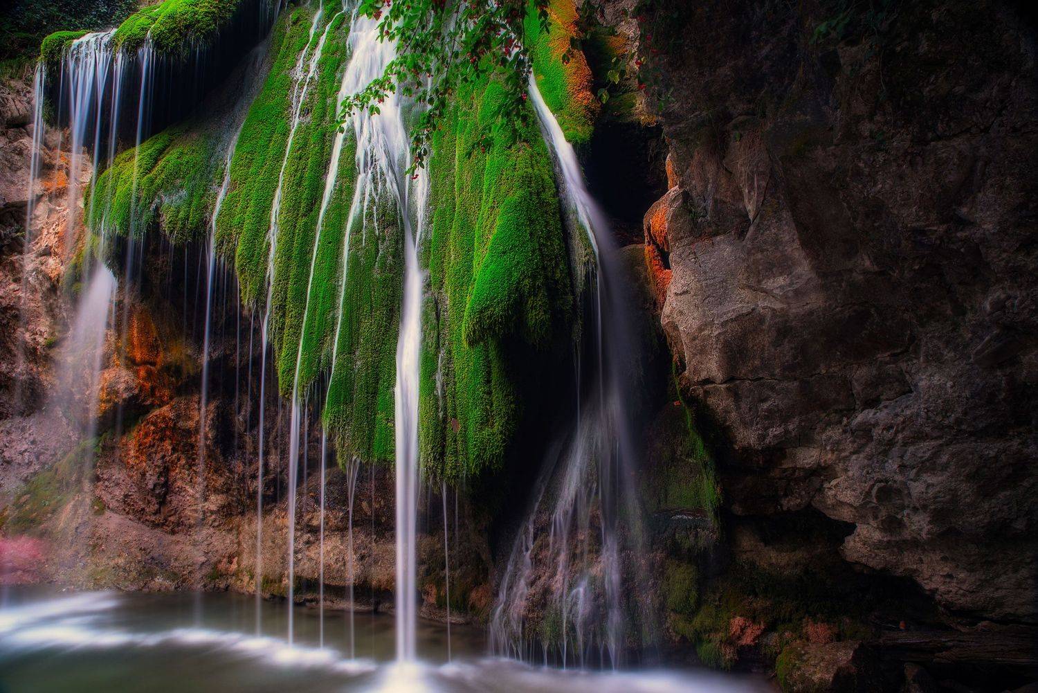 , Кунин Илья