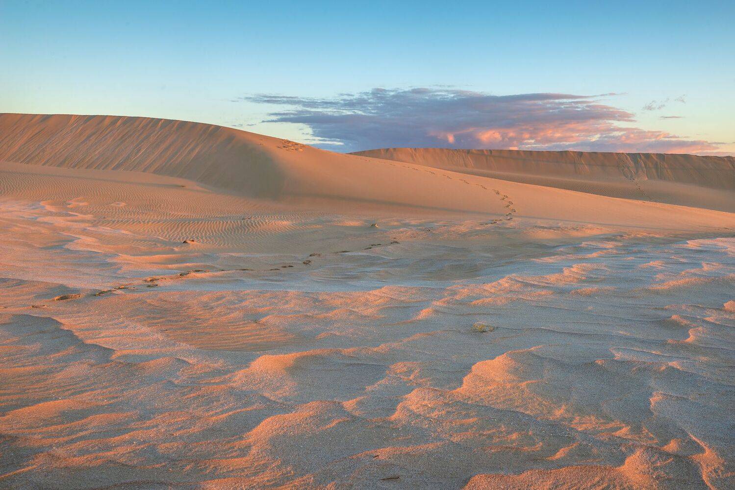 казахстан мангистау, Кутыгин Эдуард