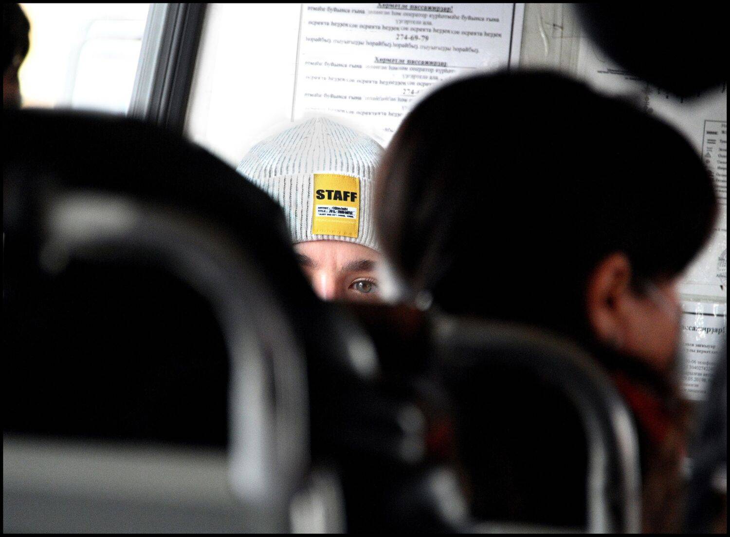 , Меднов Влад