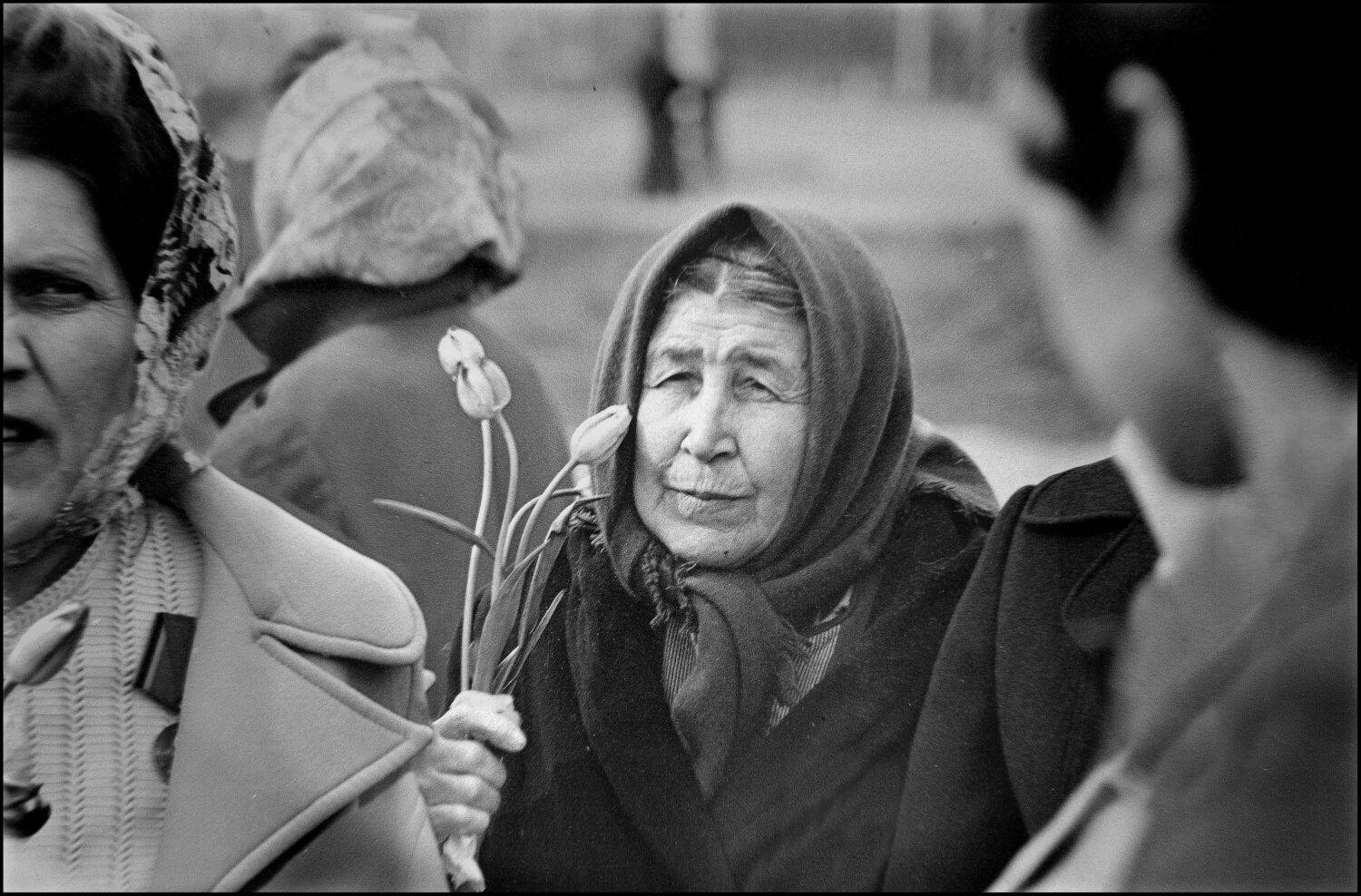 , Меднов Влад