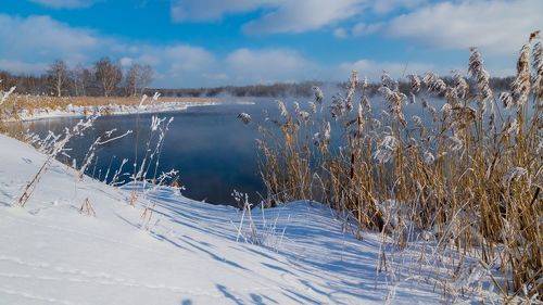 Февральский полдень