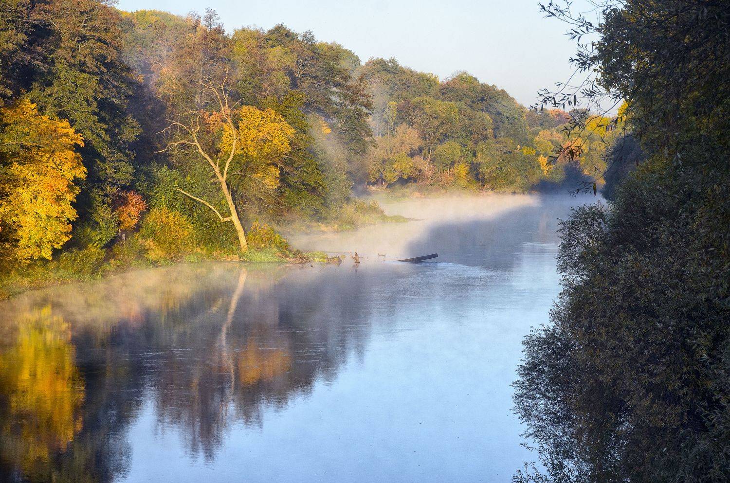 , Александр Березуцкий