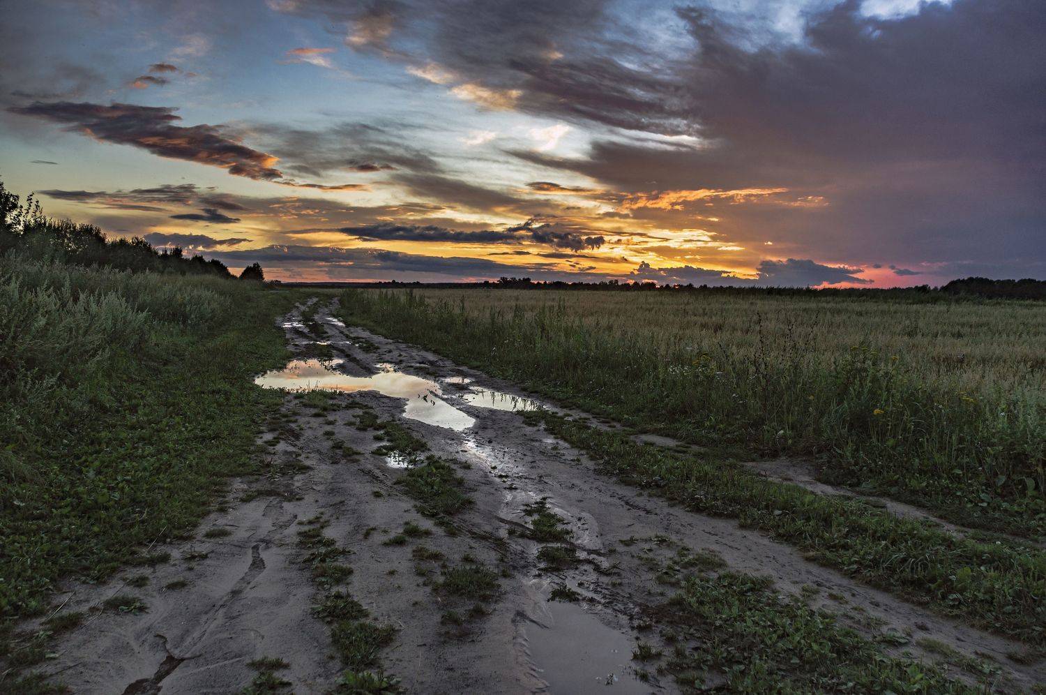 гроза., Шитов Александр