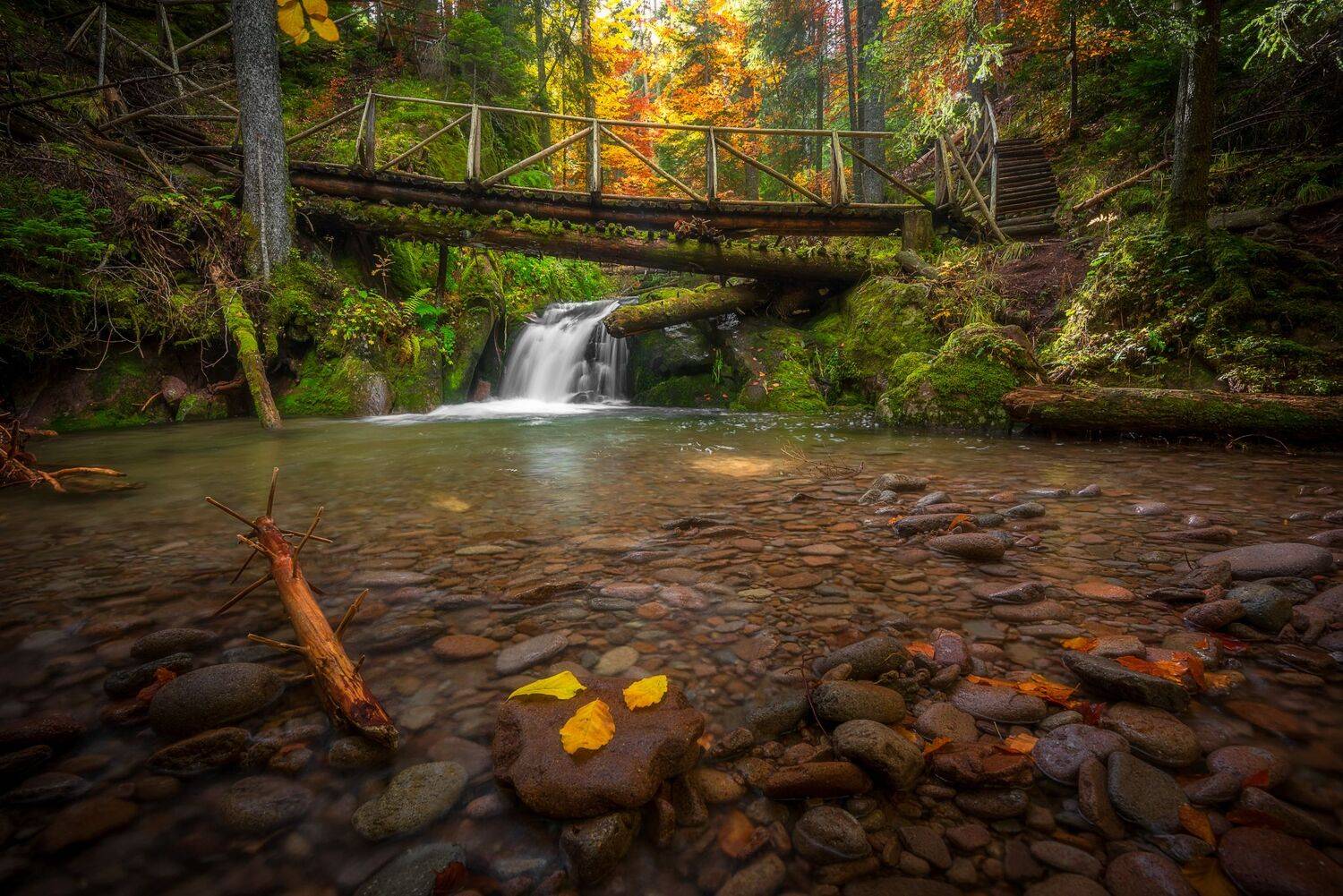 , Mariyana Atanasova - Lucero